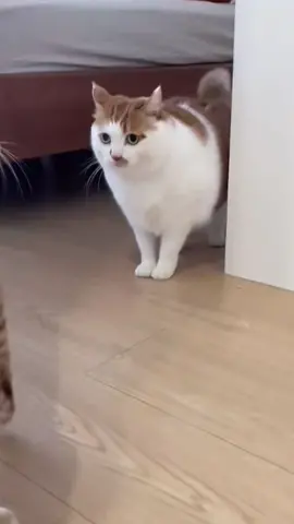 😳