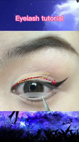 Curved eyelashes #fyp #fypシ #tiktok #tiktokshop #eyelashes #falseeyelashes #kissproducts 