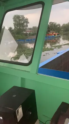 Tặng lợi cho nè