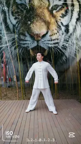 #kungfu #teaching #martialarts #fyp 