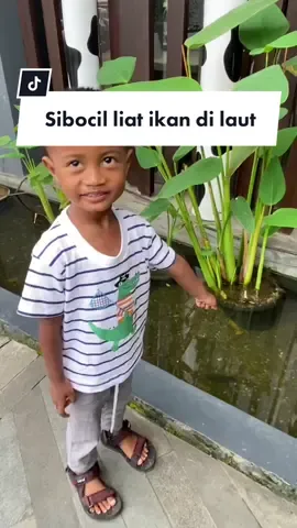 Sibocil liat ikan #fyp 