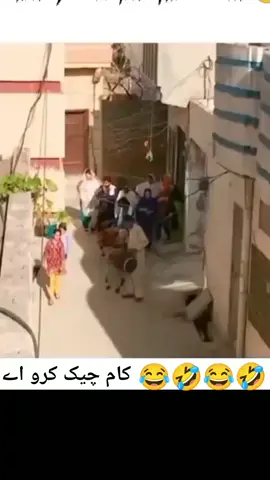 😂😂#foryou #foryou #foryoupage 