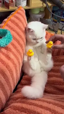 🥰
