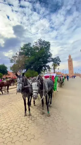 Balade en calèche  Vivez un moment typique en faisant une promenade en calèche dans les rues de Marrakech  #morocco1travel #calèche #marrakech #trip 