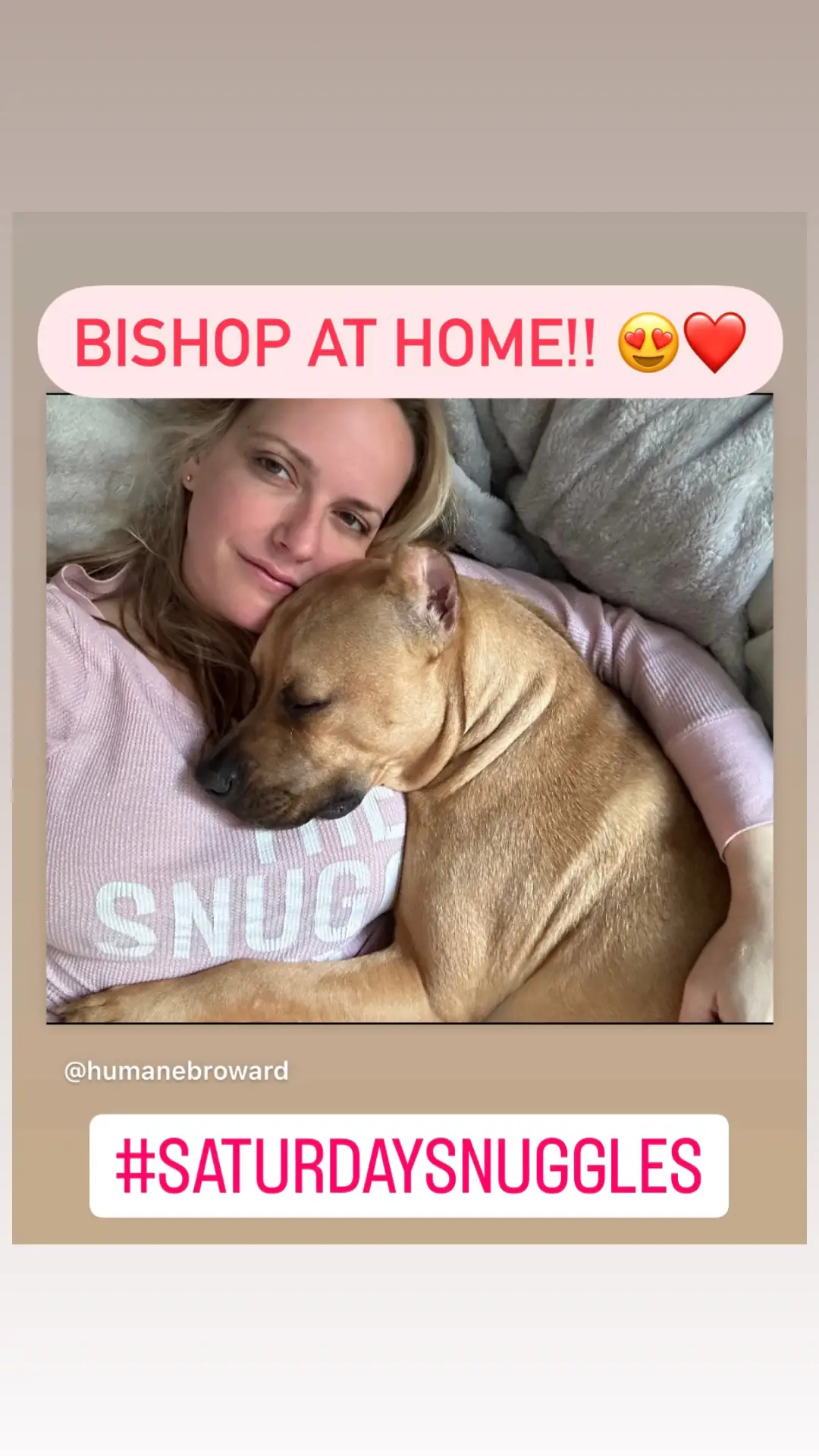 Bishop update! 😍❤️  Adopted Bishop is living the life he always deserved! Just look at those snuggles with mom! ☺️  #saturdaysnuggles  If you would like to adopt one of our amazing pets, please fill out an application (link in bio) and visit us at 2070 Griffin Road, Fort Lauderdale, FL. We open daily at 11 a.m. ❤️ Our Adopt A Sweetheart event begins 2/12! ❤️ #adopted #adoption #dogrescue #adoptdontshop #foryou  #rescuedog #dogsoftiktok #dog #shelterdog #dogshelter #Home #update #fyp #foryoupage 