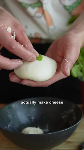 How to actually make Cheese 🧀 #mozzarella #cheese #bayashi #cooking #fypシ #fyp #tastetest #basil #italian #india #albertcancook #qcp #pokemon #shelter #dansum 