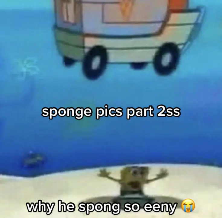 im just a spongebob fanpage at this point #spongebobmeme #memestiktok #memeslideshow #slideshow #spongebob #shitposting #spongebobmemes #reactionpics #memes #fishpost #marinebiology #spongebobsquarepant 