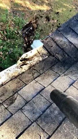 Not Falling Off of the Roof While Blowing Gutters #lawntiktok #lawntok #lawncare #fyp #lawncarelife #stihl #lawncaretiktok #tiktokfyp #roofs #gutters 