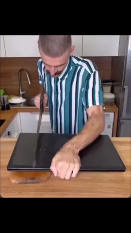 Buy another 💵🤲 #cat #funny #tiktok @TikTok @tiktok creators 