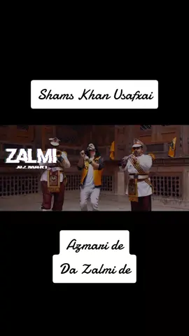 Biryali de Sha Zalmi de😍😘 Peshawar Zalmi Official song for PSL 8#peshawer #peshawerzalmi #psl8 #sabsitarayhumaray #❤️ #fypシ #fyp #onemillionaudition #fyppppppppppppppppppppppp #Dargali #shamskhanusafxai 