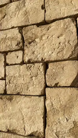 Artificial stone process With concrete  #decoracionenpiedra #artificialrocks #artificialstone #piedraartificial #concretelife #construction #albañil #constructiontiktok 