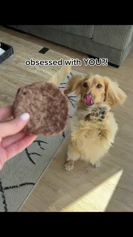 My waistline is furious 