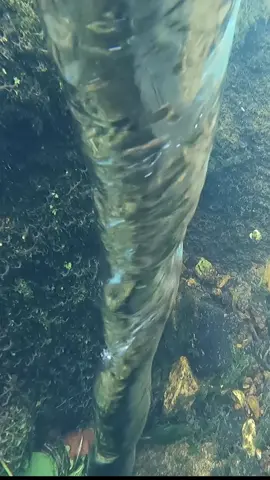 #suckhole #dam #undermine #damundermining #underwater #tornado #underwatertornado #vortex #damfailure #awesome #water #spiral #cool #sweet #dude