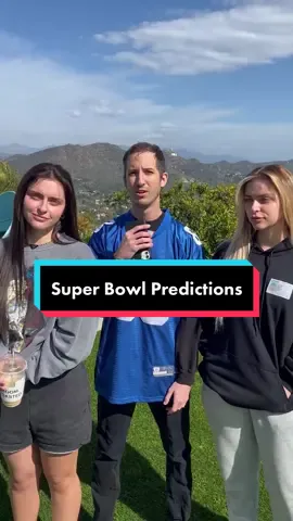 @hamdentwinz super bowl prediction 