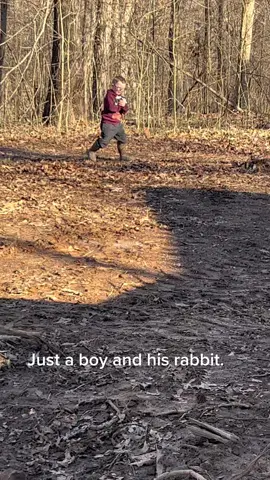 #rabbit #bunny #DanceWithTurboTax 