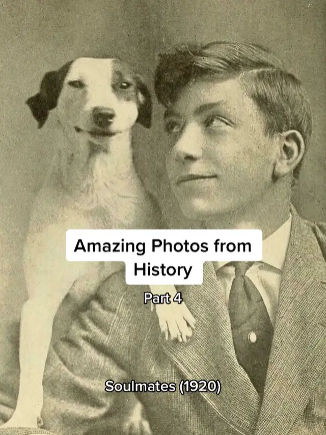 History Photos #historytok #History #usa #america #historicalphotos #earth #slideshow #historicalphotos #ww1 #ww2 #interesting #photography #lgbt 