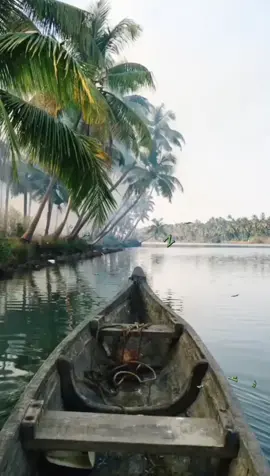 #നിന്റെ ഓർമ്മകൾ ആർദ്രമായി സ്പർശിക്കാത്ത ഒരു നിമിഷം  പോലും ഇന്നോളം എന്നെ കടന്നുപോയിട്ടില്ല !!!  നിനക്കായി സ്നേഹപൂർവ്വം ശുഭ ദിനം🌹🌹🌹#shubadhinam🙏🤗😘😘😘 #صباح_الخير #bahraintiktokers🇧🇭 #pravasimalayali #kochi #malayalamsongs #കൊച്ചി 