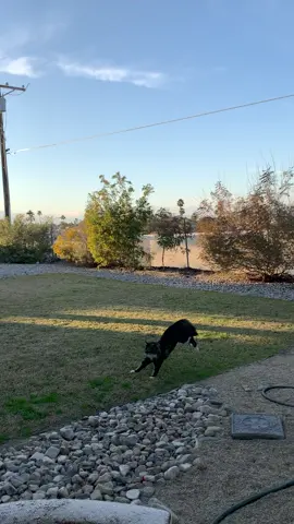 Hi-ya!