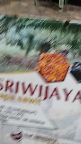 bibit kecambah sawit Sriwijaya 5#medan #sawit #unggul #CapCut ok