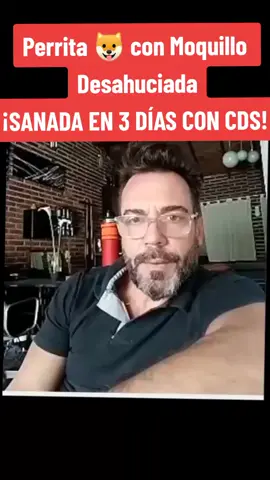 Perrita 🐶 con Moquillo, Desahuciada, ¡Sanada en 3 días con CDS!  ¡No dejen de compartir esta información que puede Salvar la vida de nuestros Animalitos! 👌🏻  #moquillo #moquillocanino #moquillosobreviviente #fyp #dioxidodecloro #cds #mms #tendencia #tiktok #foryou #viral #saludyvida #perros #cachorros 