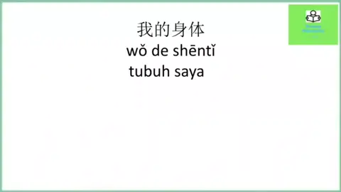 Kosakata Bahasa Mandarin Tentang (我的身体 wodeshenti) Anggota tubuh dalam bahasa Mandarin #ruangmandarin #bahasamandarin #belajarbahasamandarin #shenti #anggotatubuh
