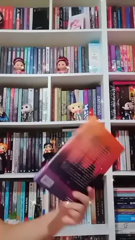 #daisyjonesthesix #editoraparalela #booktokbrasil #booklover #amoler #leituradavez 