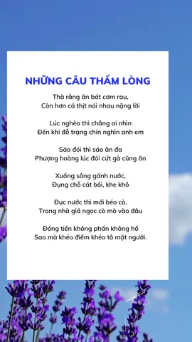 Tập 1 : những cáu nói thấm lòng người #caunoihay #nhungcaunoihay #loikhuyencuocsong #quatangcuocsong 