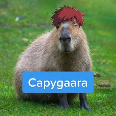 Gaara: sabaku soso masbro  #Naruto #Gaara #anime #capybara 