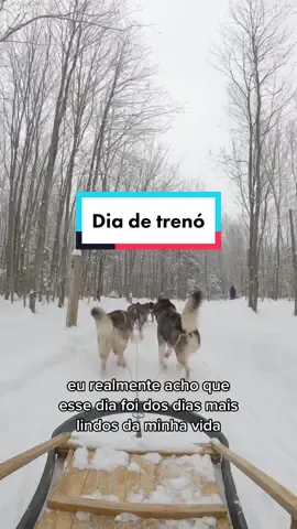 Eu nem sabia que tinha tanta coisa pra fazer na neve 