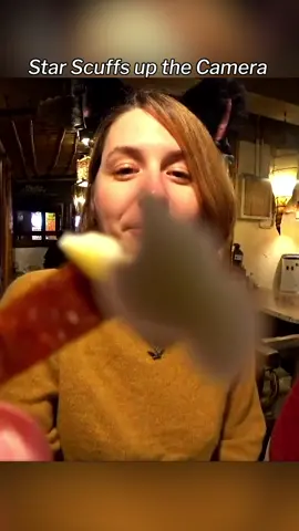 scuffThecamera