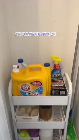 Tiny closet reorganize #tinycloset #reorganize #cleaningproducts #utilitycart #smallclosetorganizing #organize #tidy #smallspacesorganization #smallspaces #cleaningsupplies #closet #smallspacehacks 