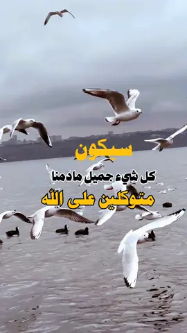 #اكسبلور #عبارات_فخمه؟🖤☠️🥀⛓️ 