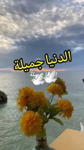 فعلا الدنيا جميلة 🕊️🕊️💞 #انتاجي #مونتاجي #تابعونيي #الدنيا_حلوة #الدنيا_جميلة #تابعونيي #مش_مستاهلة #عيش_يومك_ونسا_همومك #اكسبلورexplore #اكسبلور#تابعوني_احبكم #الدنيا 