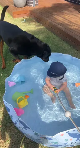 Don’t mind me, just going to slip in here…#fyp #fypage #funnyvideos #babytiktok #funbyvideos #dog #dogsoftiktok 