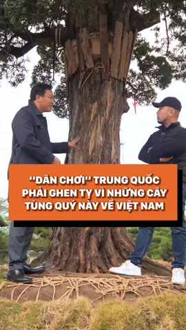 Thú chơi nào cũng thật lắm công phu 😄 #nhato #nhatofficial #review #tunglahan 