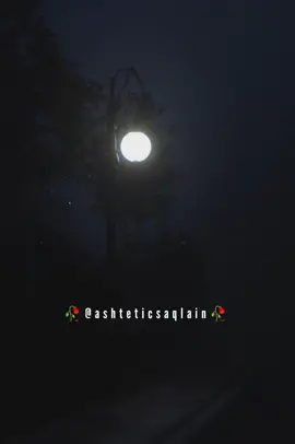 𝙃𝙤𝙪𝙣 𝙆𝙤𝙡 𝘼𝙮𝙚 𝙏𝙚𝙣𝙪 𝙌𝙙𝙖𝙧 𝙉𝘼𝙃𝙄💔🥀#whatsappstatus #viralvideo #midnights #fypシ゚viral #lofi_lyrics #trending #aesthetic #foryoupage #ashteticsaqlain 