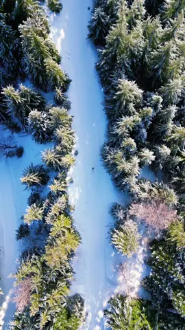 Inspiration and a walk in the snow. Have you been outside this week? #outside #Outdoors #hike #drone 