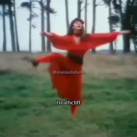 Wuthering Heights (1978) #musictok #trending #wutheringheights #katebush #fyp 