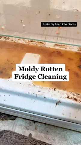 The MOST satisfying fridge clean in a long time! It was absolutely heartbreaking but I worked my cleaning magic & she’s sparking ✨🧼 #CleanTok #cleaningtiktok #cleaningmotivation #fridgecleaning #cleanwithme #scrubdaddy 