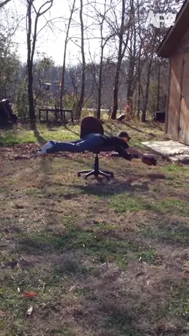 The last clip looks kinda fun tho 👀  #funnyvideos #react #animals #funny 