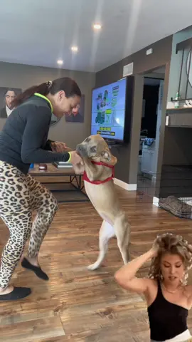 Sicily and I dancing into Friday like… #shakira #dancewithpubgm #canecorso #canecorsopuppy #laughlifeistooshort #celebrate #justus #fyp #viral #momtoks #tiffanyhunter 