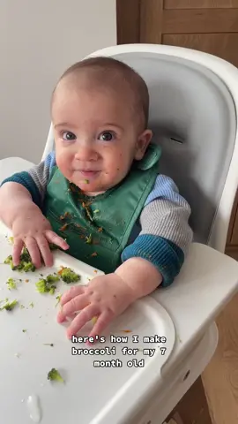 We've been doing a mix of BLW and purees for Tucker and here's how I make broccoli for him. 🥦 Break a crown of broccoli into large florets and steam them for 4-8 minutes or until the broccoli is fork-tender and soft, but not completely falling apart.  I like large florets with stems so that he can use the stem as a little handle to hold on to. You can even serve the broccoli upside down (with the stem up) so baby grabs it like that.  Tucker was a little unsure at first, but he's definitely a fan! Now if only we can get Liv to start eating broccoli again. 😅😂 Love this video or want more BLW tips? Leave me a comment letting me know what you need. #babyledweaning  #blw  #blwbaby  #babyled  #blwinspo  #ebfbaby 