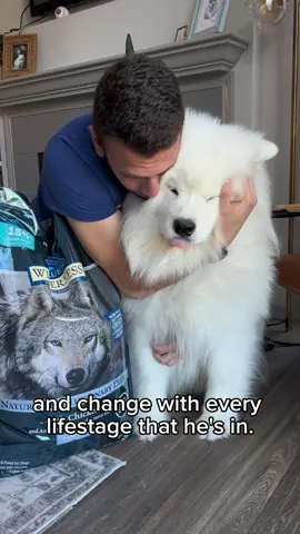 #sponsored What happens when Biff gets a hold of the credit card… 🤪😅   He buys @bluebuffalo  food on Chewy of course! Thankfully it’s a brand we can trust at any lifestage.   Biff has literally grown up on the Blue Buffalo Wilderness formulas, and we trust them to fuel his active lifestyle. This boy still has lots of energy to keep us going!   For recipes from puppyhood and beyond, check them out on @chewy! The autoship orders comes in clutch and save us some serious 💸💸💸.   #bluebuffalo #petparents #dogfood 