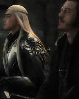 caption #thehobbit #hobbit #hobbitedit #viral #fyp #fy #bard #bardedit #thranduil #thranduiltok #thranduiledit #thranduilandbard #edit #thehobbitedit 