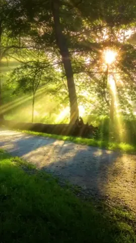#sunshine #sunset #naturebeauty #naturescenery #nicescenery #naturelover #beautifullview #amazingview #spectacular #stunning  #satisfying #videobackground #livewallpaper #foryou  #fypviral #fyptiktokpage #goviraltiktok 