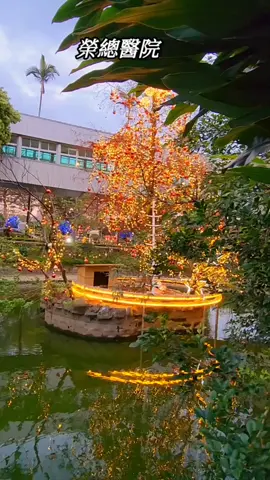 臺北榮民總醫院今天帶小孩去榮總醫院回診 ，看到花燈太美了隨拍啦... Taipei Veterans General Hospital）是一家位於臺灣臺北市北投區石牌的公立醫院，直屬國軍退除役官兵輔導委員會管轄，下轄蘇澳、員山、桃園、新竹、玉里、鳳林、臺東等7家榮民醫院分院
