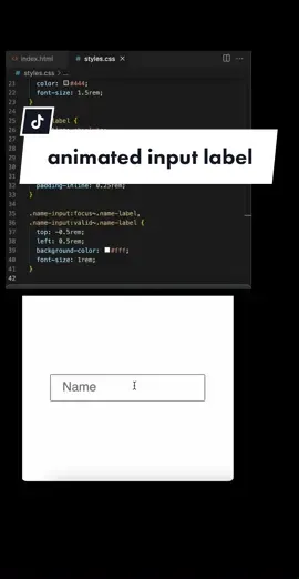 animated input label #html #input #animation #webdesign #webdev #webcoding #csscoding #coding #webdevelopment #learncoding #learntocode 