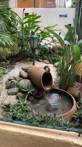 Aprenda a montar seu primeiro Lago!#aquarium #aquarismo #lago #peixesornamentais #paisagismo #natureza 