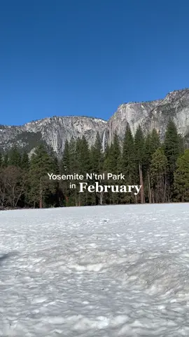Yosemite all year long is a vision 🌲 a must visit national park #yosemitenationalpark #yosemite #nationalparks #californiacheck 