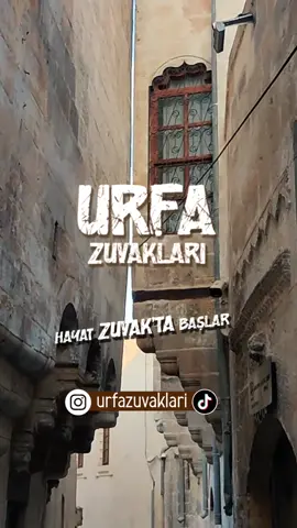 Yorgancı Zuvak 